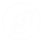 Distintivo PUNTO VERDE