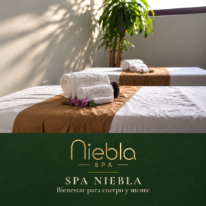 Niebla spa
